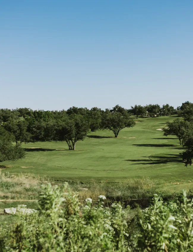 falconheadgc 04
