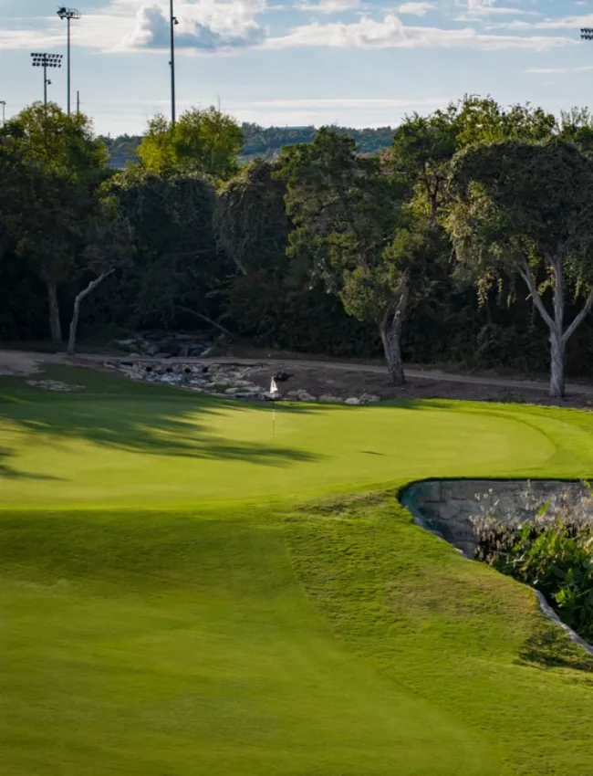 falconheadgc 06