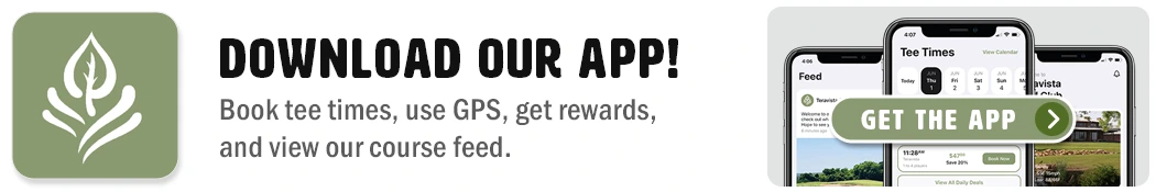 teravista app promo website teravista app promo website