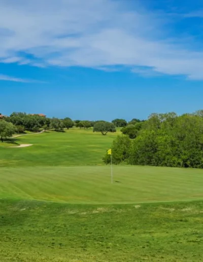 falconheadaustin 03