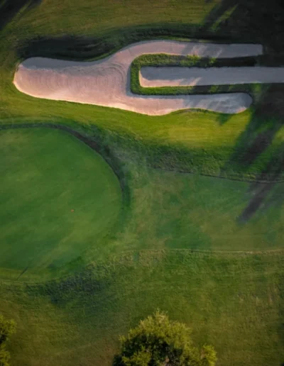 falconheadaustin 17