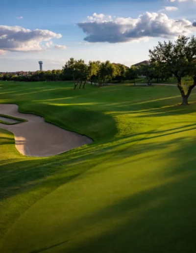 falconheadaustin 18